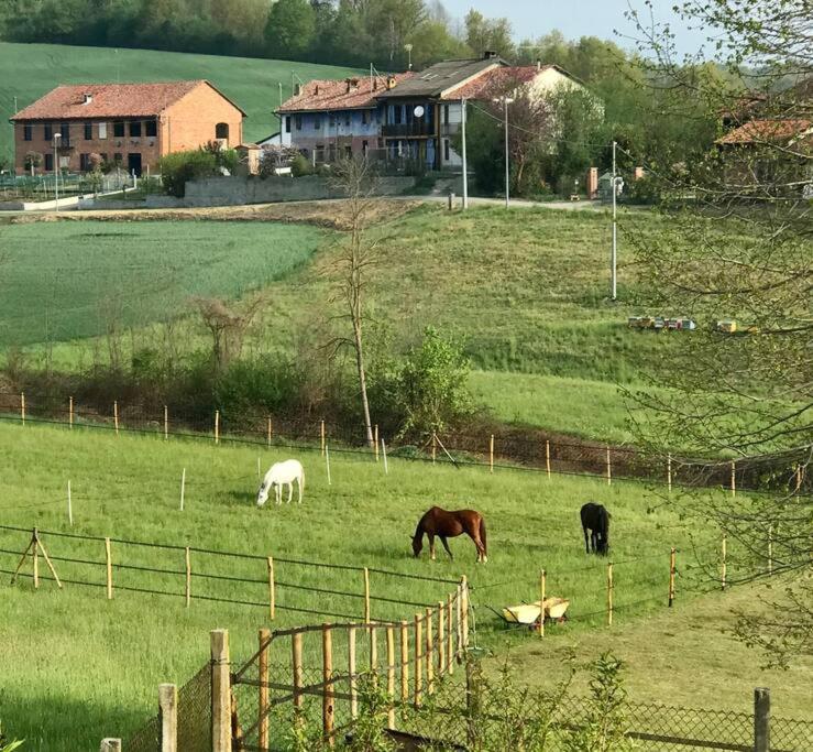 Appartamento In Cascina -La Cascinetta Di Ali- Roatto Exteriör bild