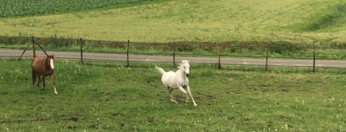 Appartamento In Cascina -La Cascinetta Di Ali- Roatto Exteriör bild