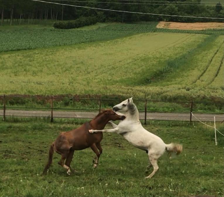 Appartamento In Cascina -La Cascinetta Di Ali- Roatto Exteriör bild